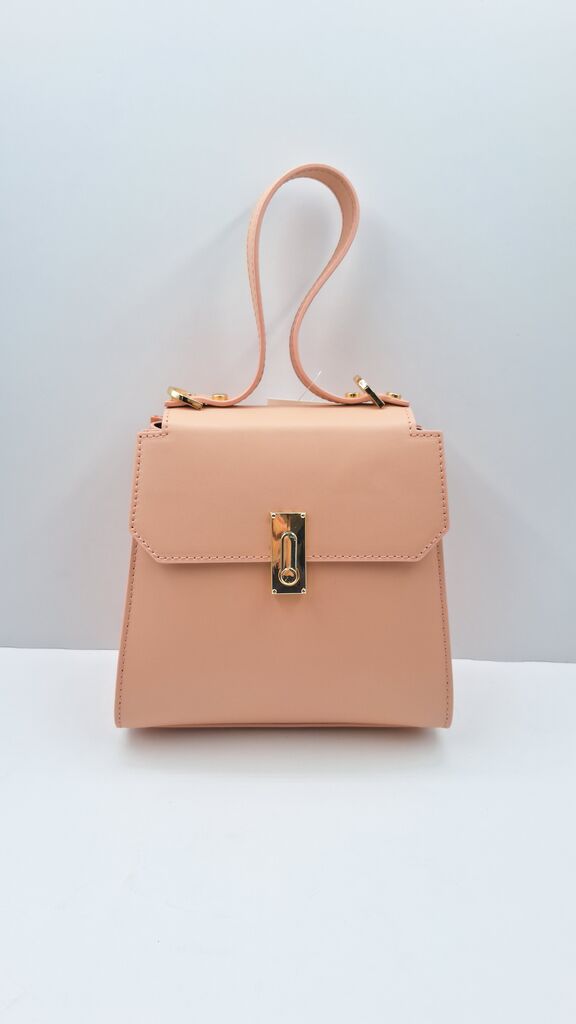 Blush Structured Mini Handbag with Gold Hardware