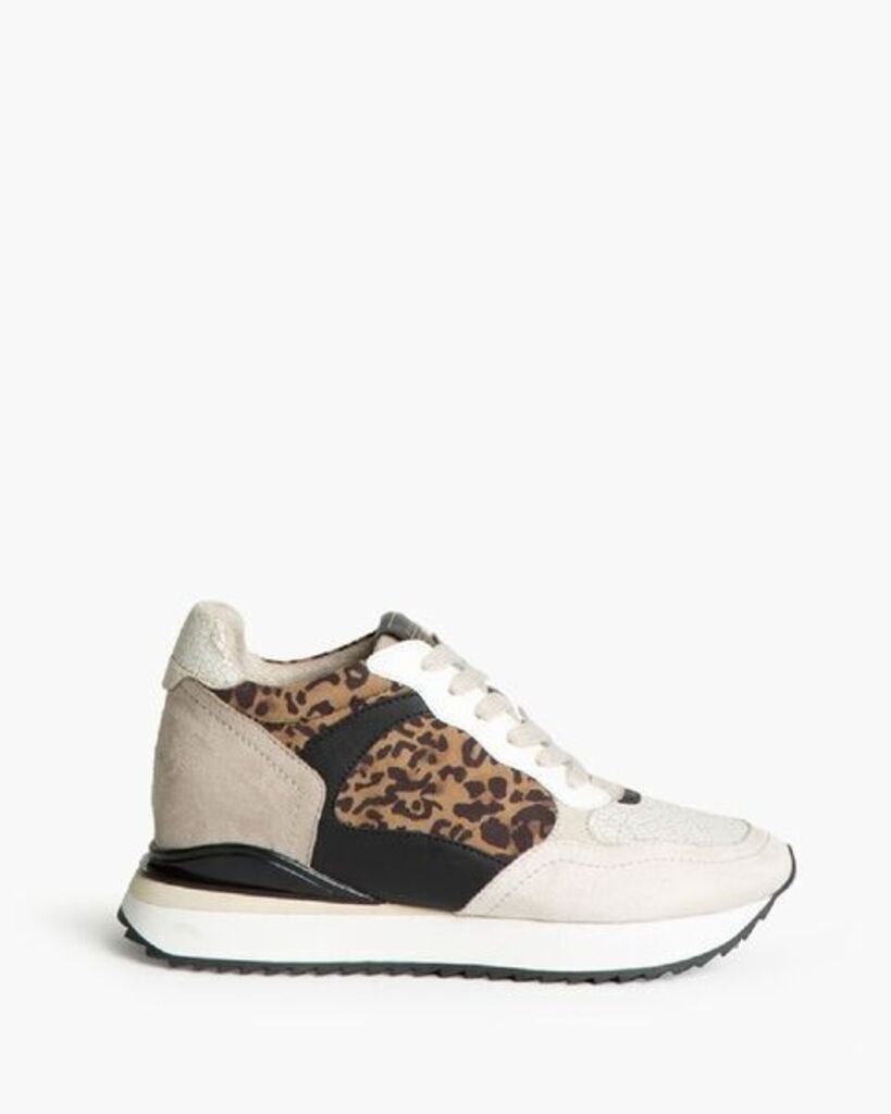 Sneaker Suede LEOPARD