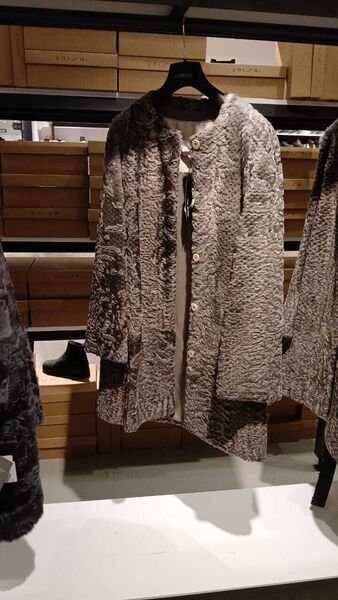 Textured Long Coat with Button Closure