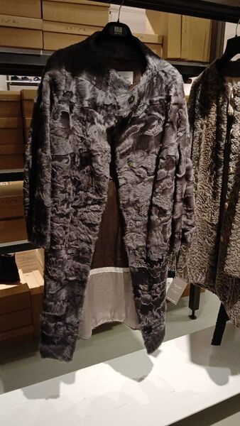 Gray Textured Coat with Button Closure