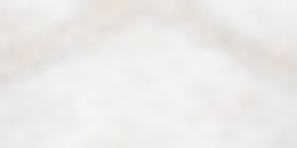 SD ALLOVER LACE DARCY