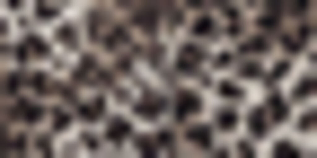 JACKET SS VIS SATIN LEO