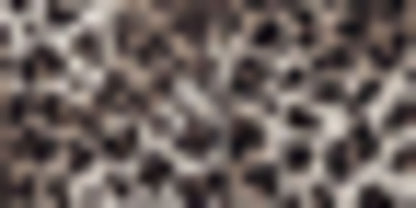 JACKET SS VIS SATIN LEO