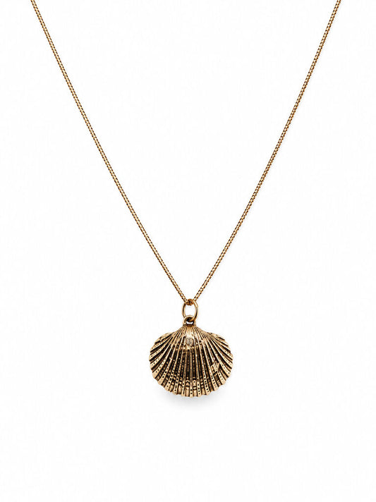 Sea Shell Gold Chain