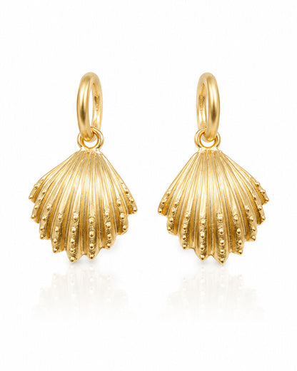medium matte gold st shell earrings