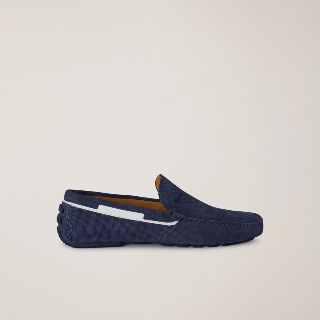 Camoscio AZZURRO