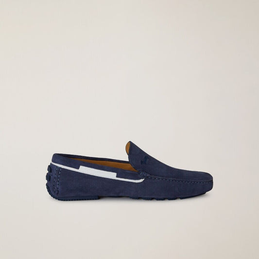 Camoscio AZZURRO