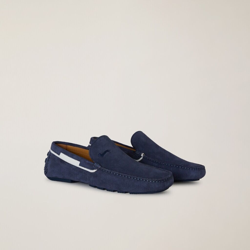 Camoscio AZZURRO