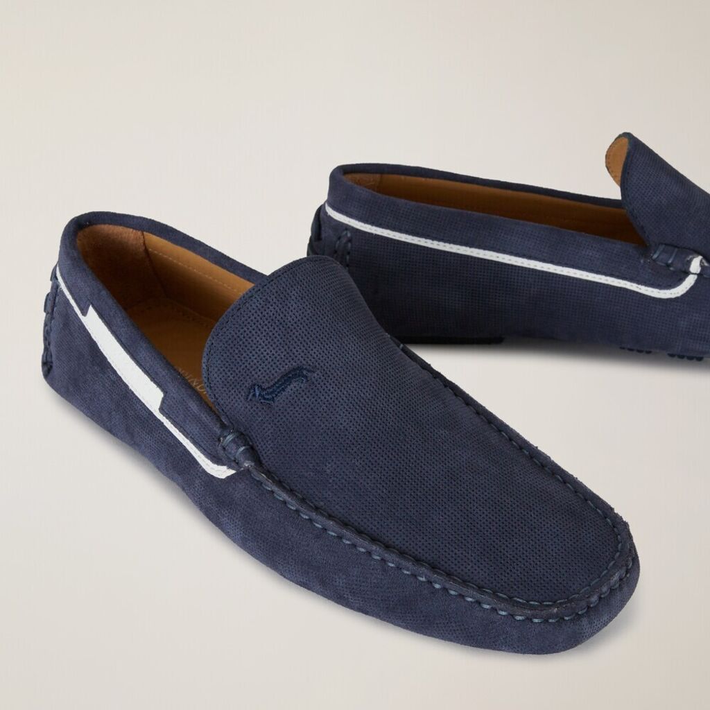 Camoscio AZZURRO