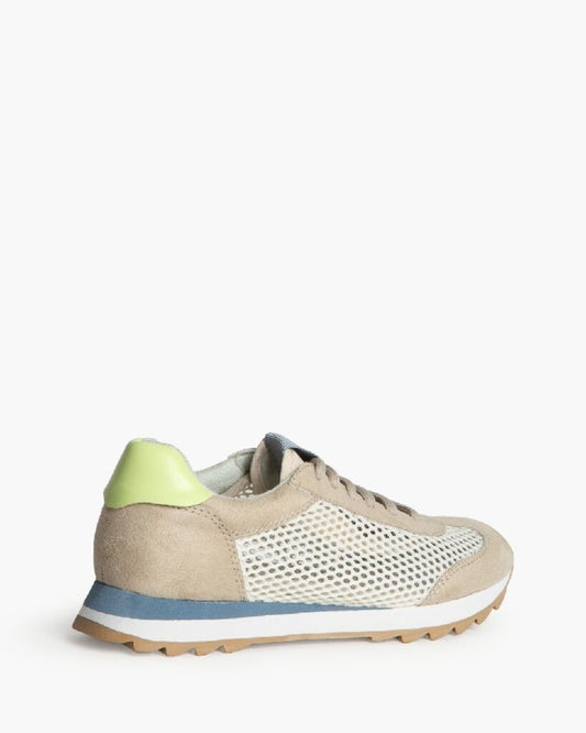 Sneaker Mesh/Sue ARENA