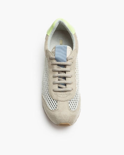 Sneaker Mesh/Sue ARENA