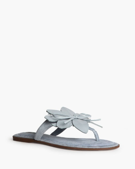 Slipper Suede CELESTE