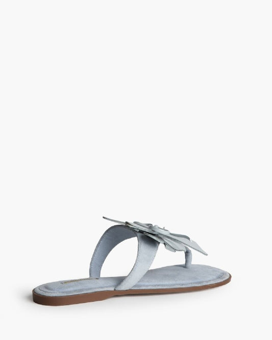 Slipper Suede CELESTE