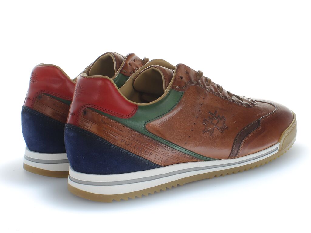 Brown Leather Sneaker with Multicolor Accents