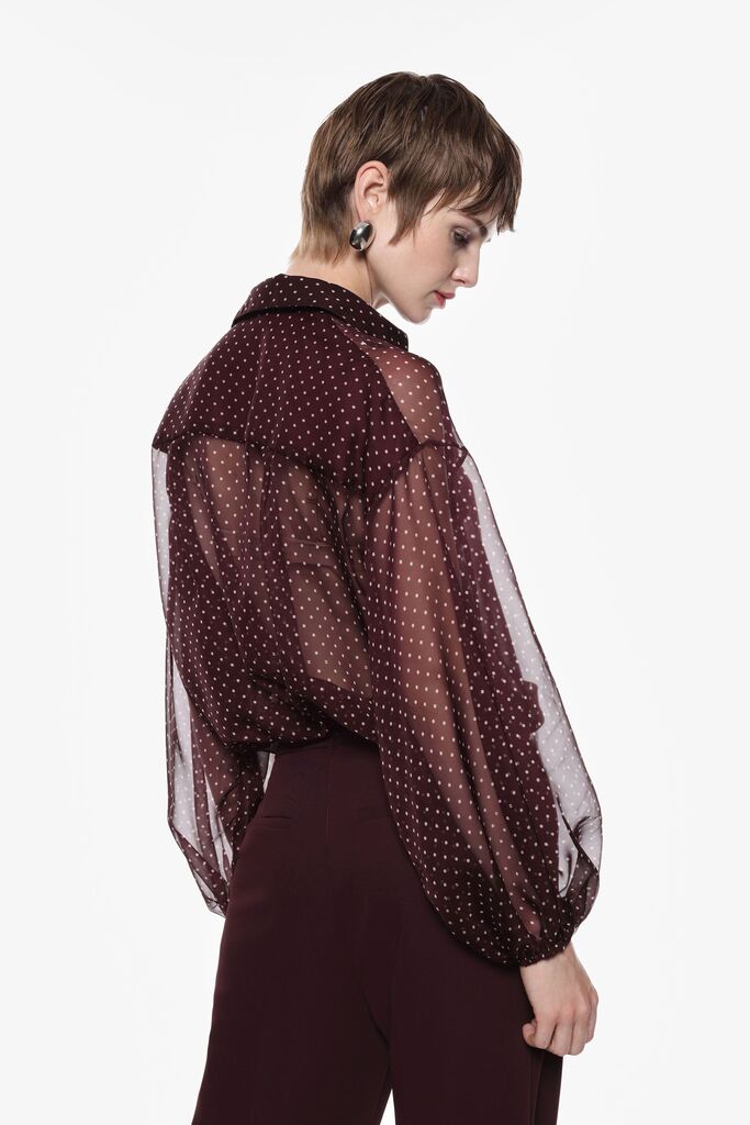 Brown Sheer Polka Dot Blouse with Ruffled Front